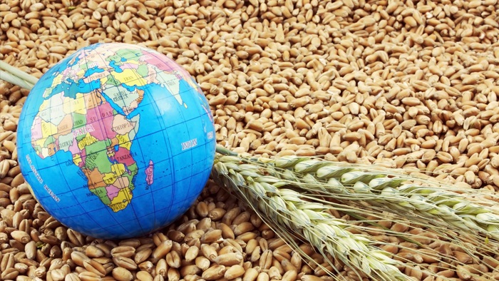Küresel gıda fiyatları yeniden düştü