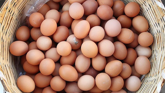 Ordu’dan her ay BAE’ye 1 milyon yumurta!