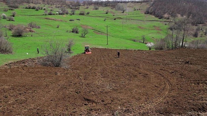 Ordu'da 3 yılda 17 bin 500 dönüm arazi tarıma kazandırıldı