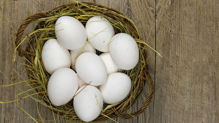 Ordu'da yumurta üretimi yıllık 40 milyonu aştı