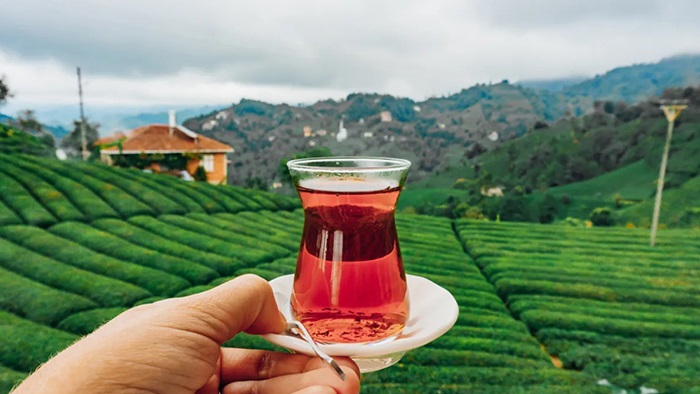 Rize, Dünyaya Bursa'dan tanıtılacak