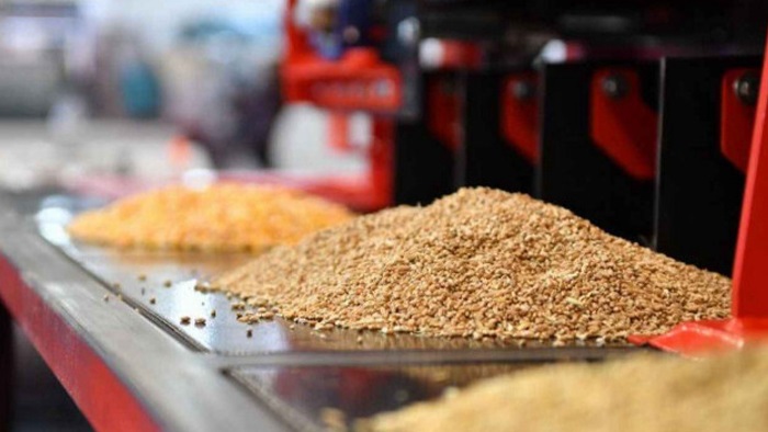 Rusya’dan Tahıl İhracatında Kritik Karar! Vergiler Sıfırlandı