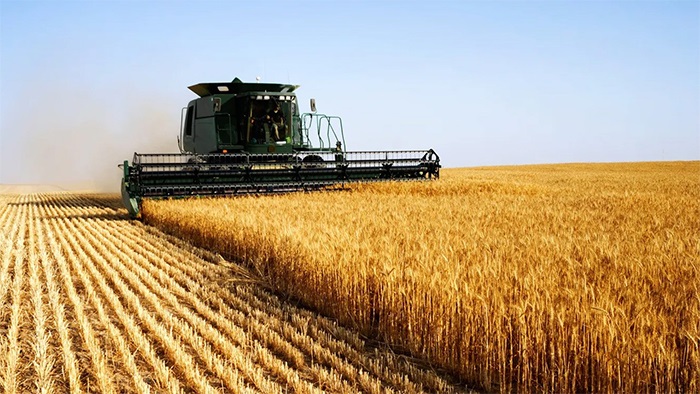 Sanayici buğday ihracatının önünün açılmasından rahatsız