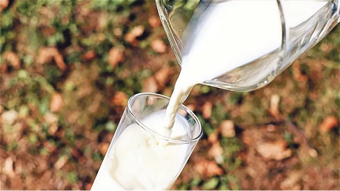 Süt üreticileri koruyucu tedbir istiyor