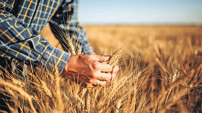 Tarım sektörü tarihi rekor kırdı