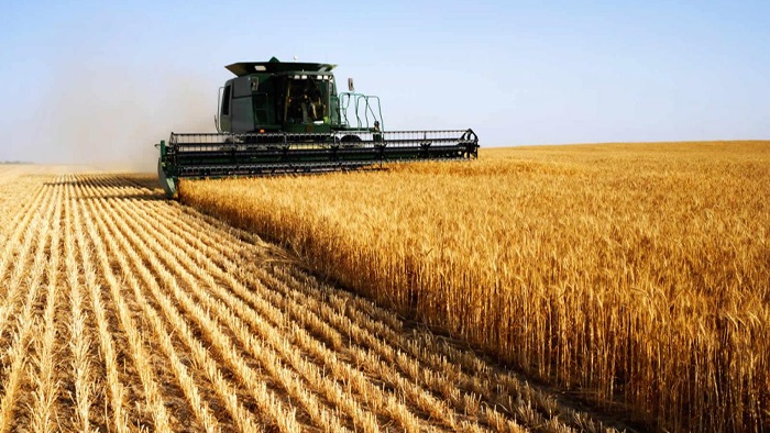 Tarım sektöründen rekor ihracat