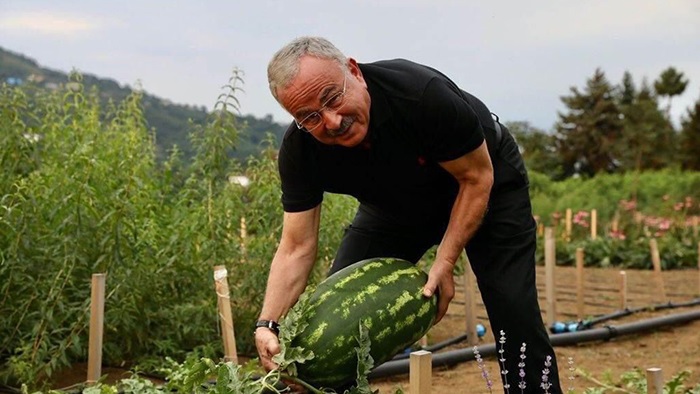 Tarımdan Ordu ekonomisine 200 milyon lira katma değer