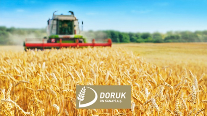 Türkiye buğday hasadında % 10 verim artışı bekleniyor 