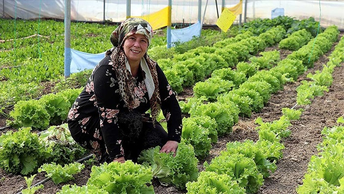 Türkiye’de en çok çiftçi kadın sayısı Ordu’da