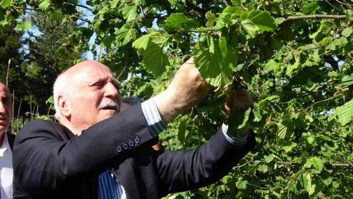Türkiye Ziraat Odaları Birliği Genel Başkanı Bayraktar, Giresun'da zirai don incelemesinde bulundu   