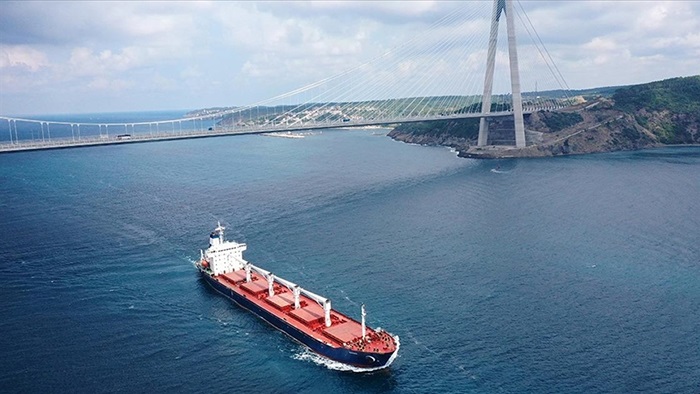 Türkiye'den denetim için bekleyen tahıl gemileri seyir riski oluşturuyor uyarısı
