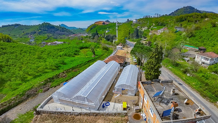 Ünye Belediyesi Genç Fidanlar Ve Seracılık Projesi Tamamlanıyor