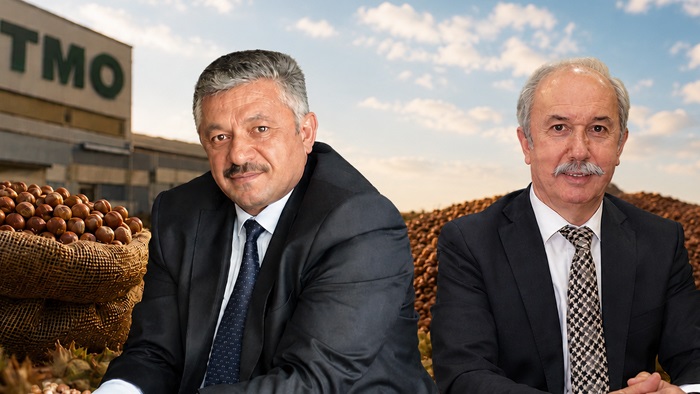 Üretici Fındığını Nereye Verecek? TMO’da Kota, Piyasada Düşüş