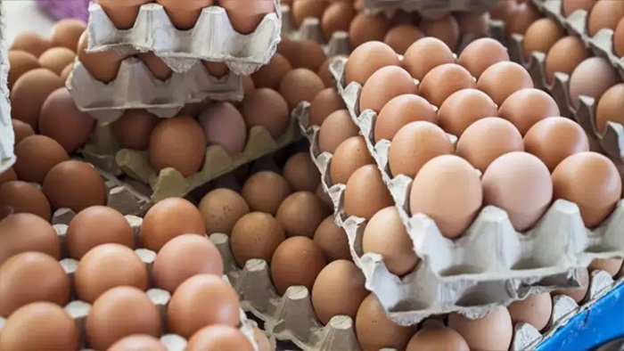 Yumurta fiyatı bir ayda 1 lira geriledi