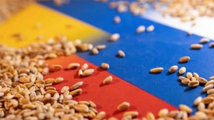 Zelenski'den Türkiye ve BM'ye 'tahıl koridoru' teklifi