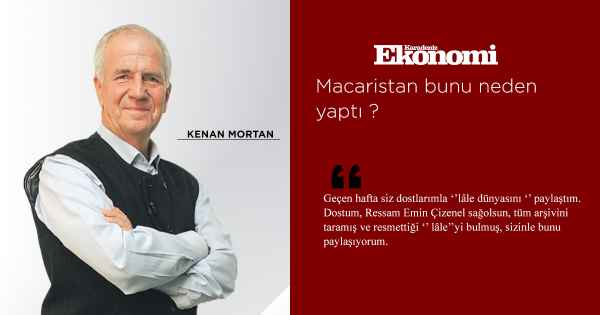 Macaristan bunu neden yaptı ?