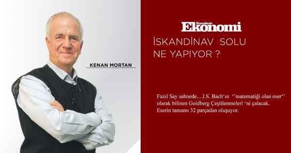 İSKANDİNAV SOLU NE YAPIYOR ?