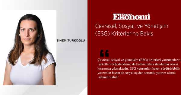 Çevresel, Sosyal, ve Yönetişim (ESG) Kriterlerine Bakış