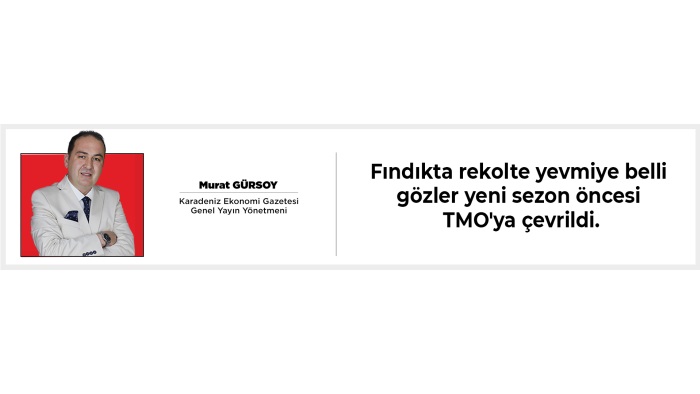 Fındıkta rekolte ve yevmiye belli gözler yeni sezon öncesi TMO'ya çevrildi