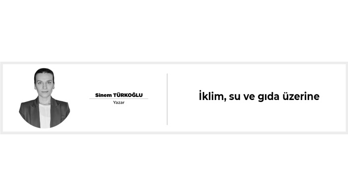 İklim, su ve gıda üzerine