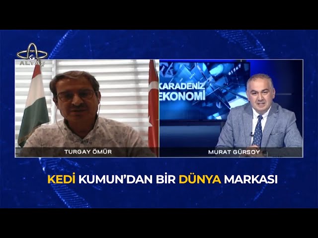 KEDİ KUMUNDAN BİR DÜNYA MARKASI