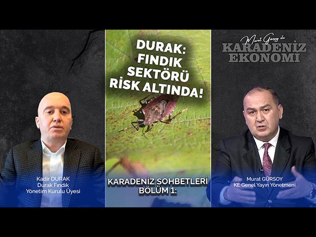 Durak: Fındık Sektörü Risk Altında!