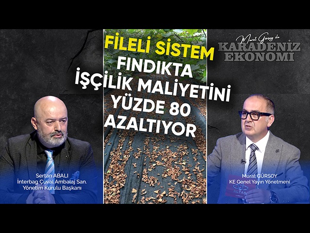 Fileli Sistem Fındıkta İşçilik Maliyetini Yüzde 80 Azaltıyor