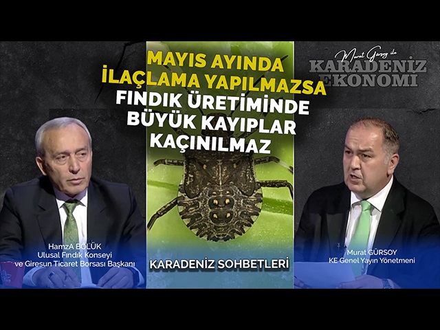 Mayıs Ayında İlaçlama Yapılmazsa Fındık Üretiminde Büyük Kayıplar Kaçınılmaz