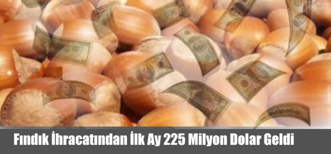 Fındık İhracatından İlk Ay 225 Milyon Dolar Geldi