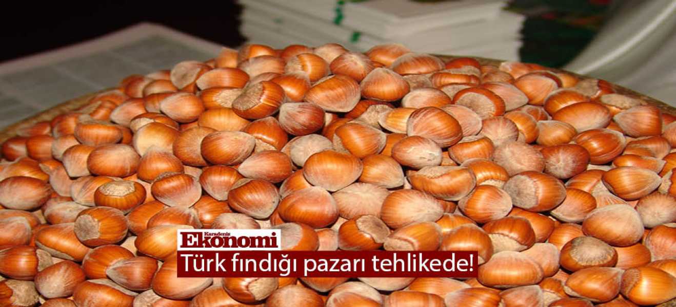 Türk fındığı pazarı tehlikede!