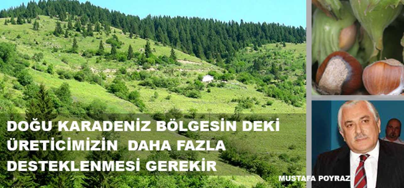 Doğu Karadeniz Bölgesinde ki Üreticimizin Daha Fazla Desteklenmesi Gerekir