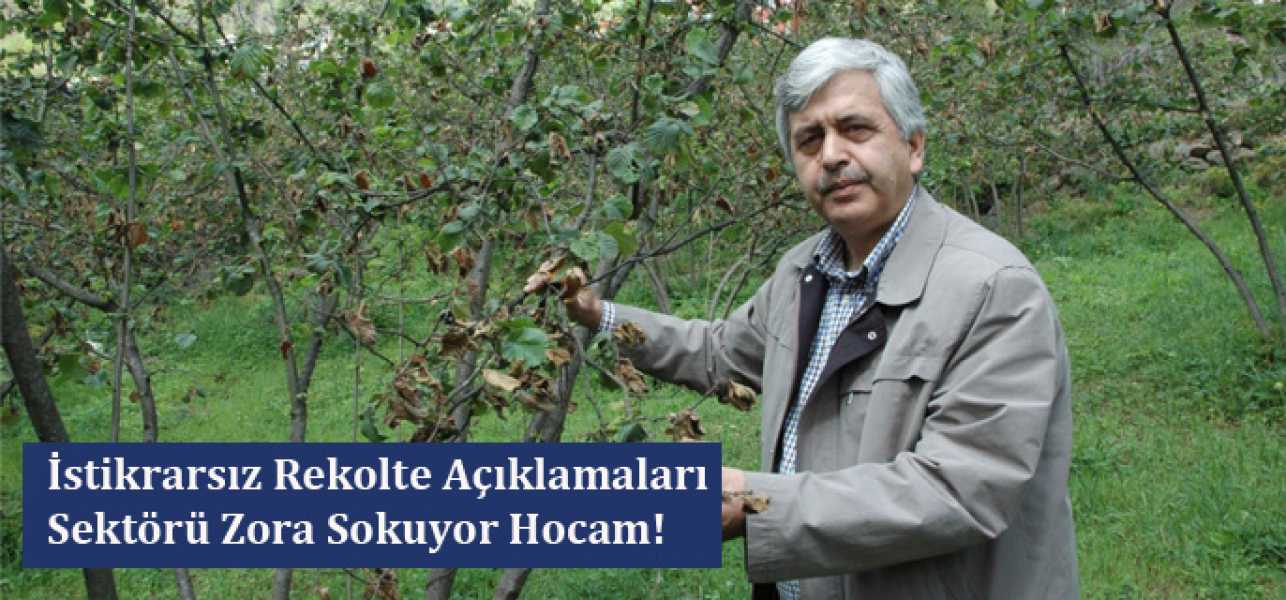 İstikrarsız Rekolte Açıklamaları Sektörü Zora Sokuyor Hocam!