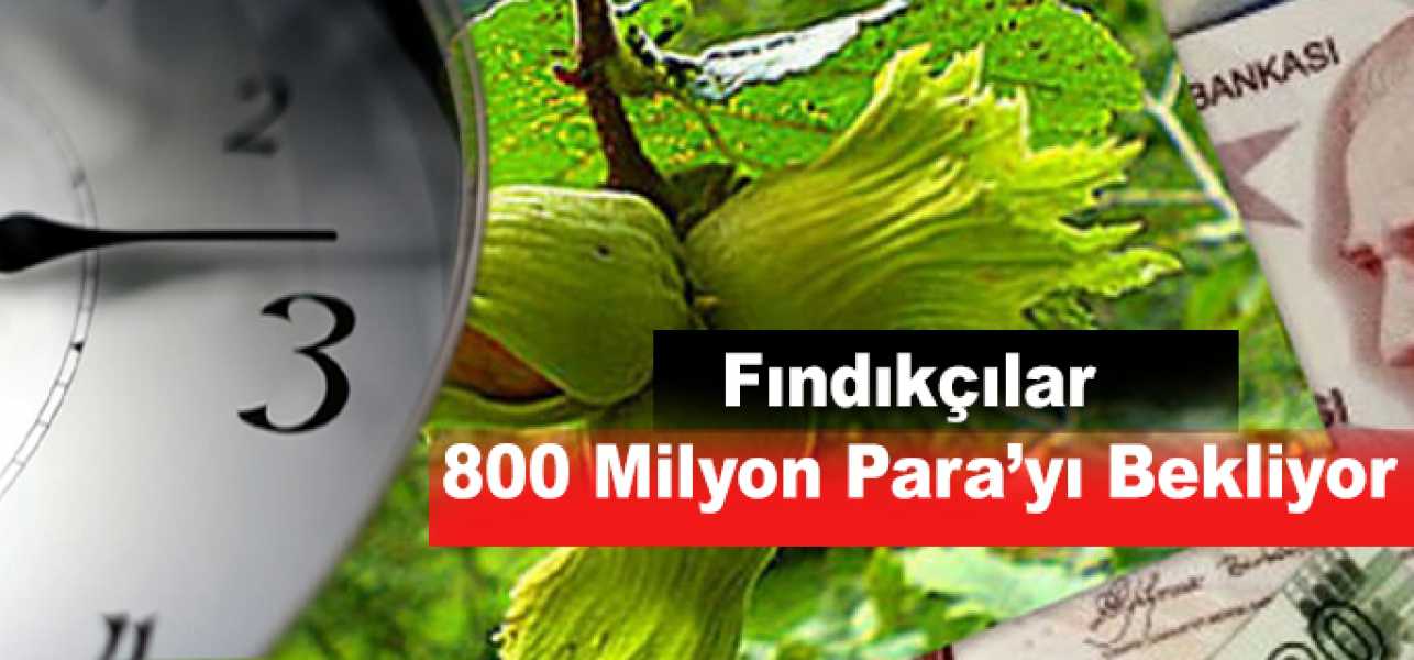 Fındıkçılar 800 Milyon Parayı Bekliyor