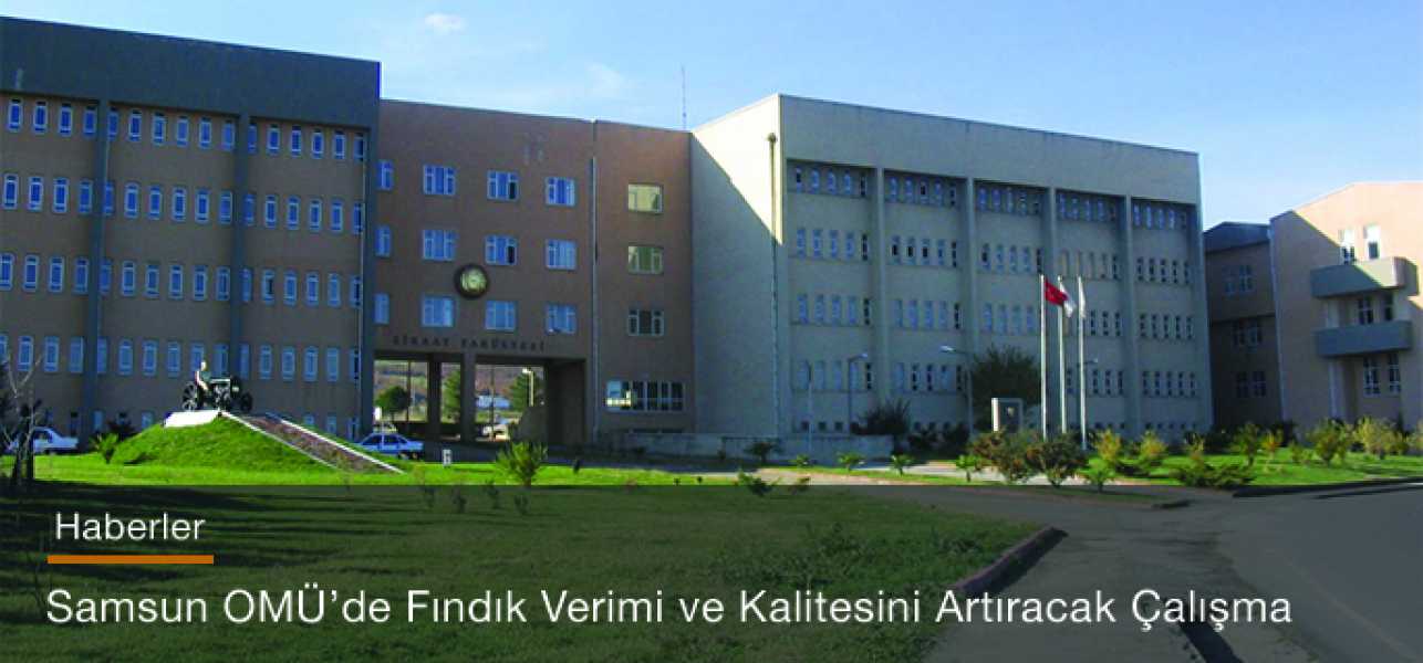 Samsun OMÜ'de Fındık Verimi ve Kalitesini Artıracak Çalışma