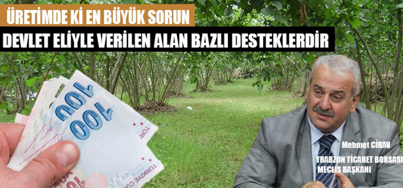 Üretimde ki En Büyük Sorun Devlet Eliyle Verilen Alan Bazlı Desteklerdir