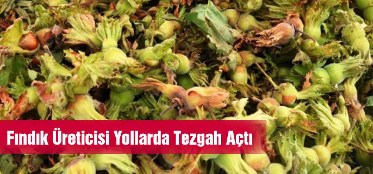 Fındık Üreticisi Yollarda Tezgah Açtı