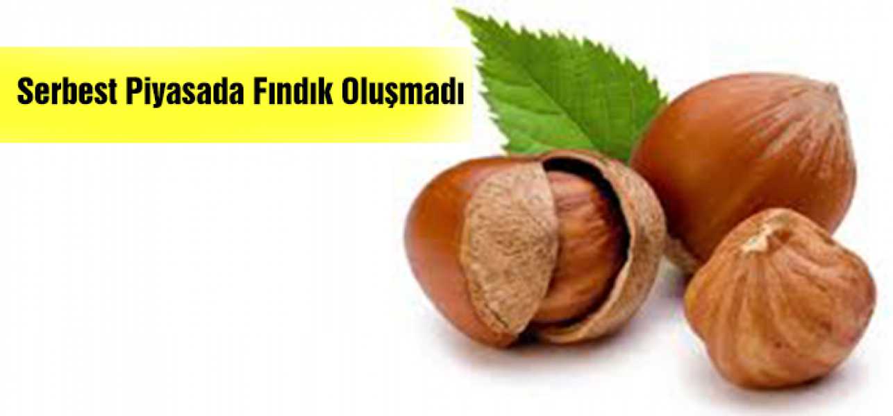 SERBEST PİYASADA FİYAT OLUŞMADI