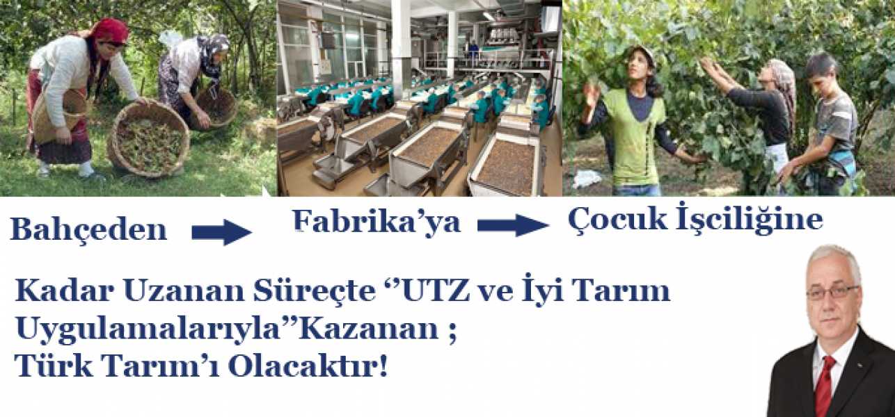 ''UTZ ve  İyi Tarım Uygulamalarıyla ''Birlikte Kazanan Türk Tarım'ı Olacaktır