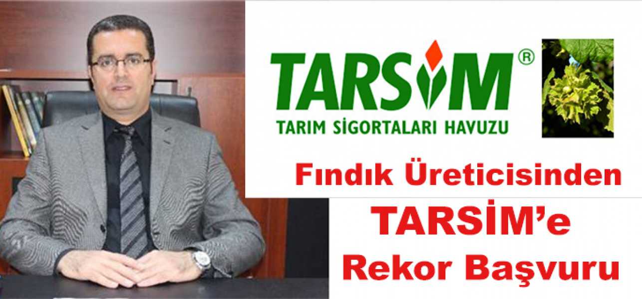 Fındık Üreticisinden TARSİM'e Rekor Başvuru