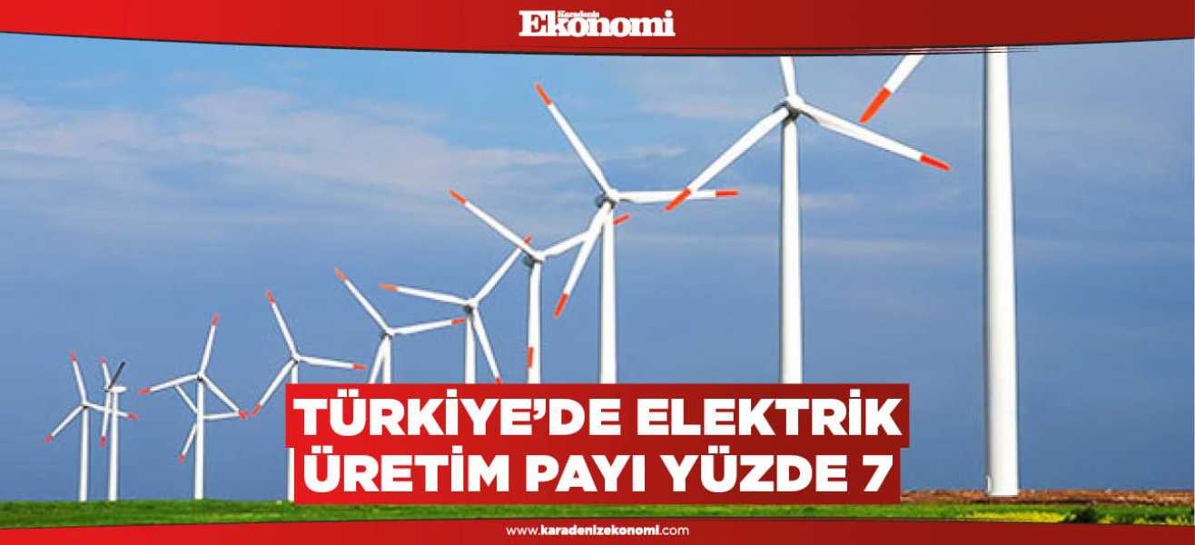 Türkiye'de elektrik üretim payı yüzde 7