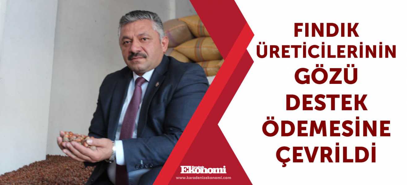 Fındık üreticilerinin gözü destek ödemesine çevrildi