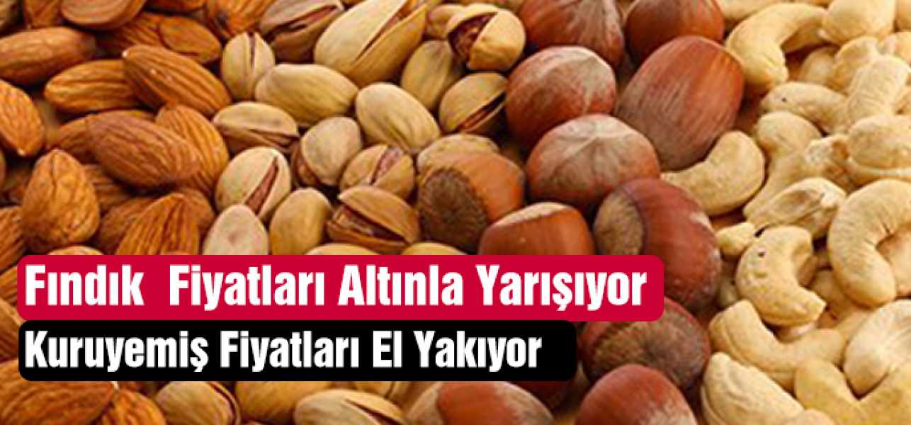 Fındık Fiyatları Altınla Yarışıyor