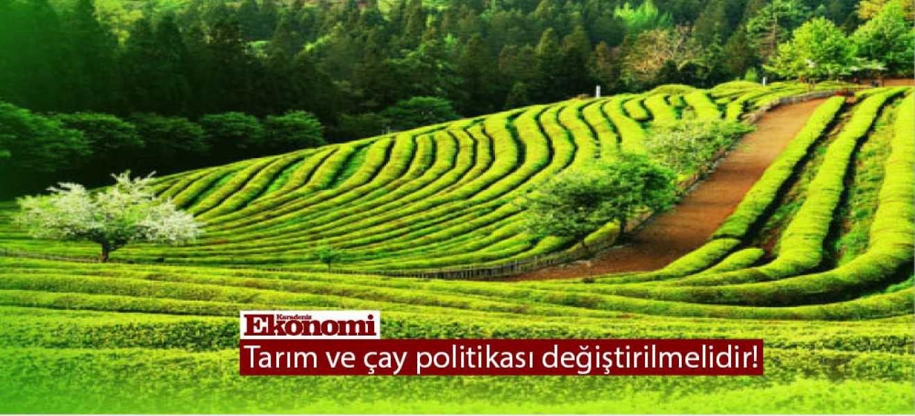 ​Tarım ve çay politikası değiştirilmelidir!