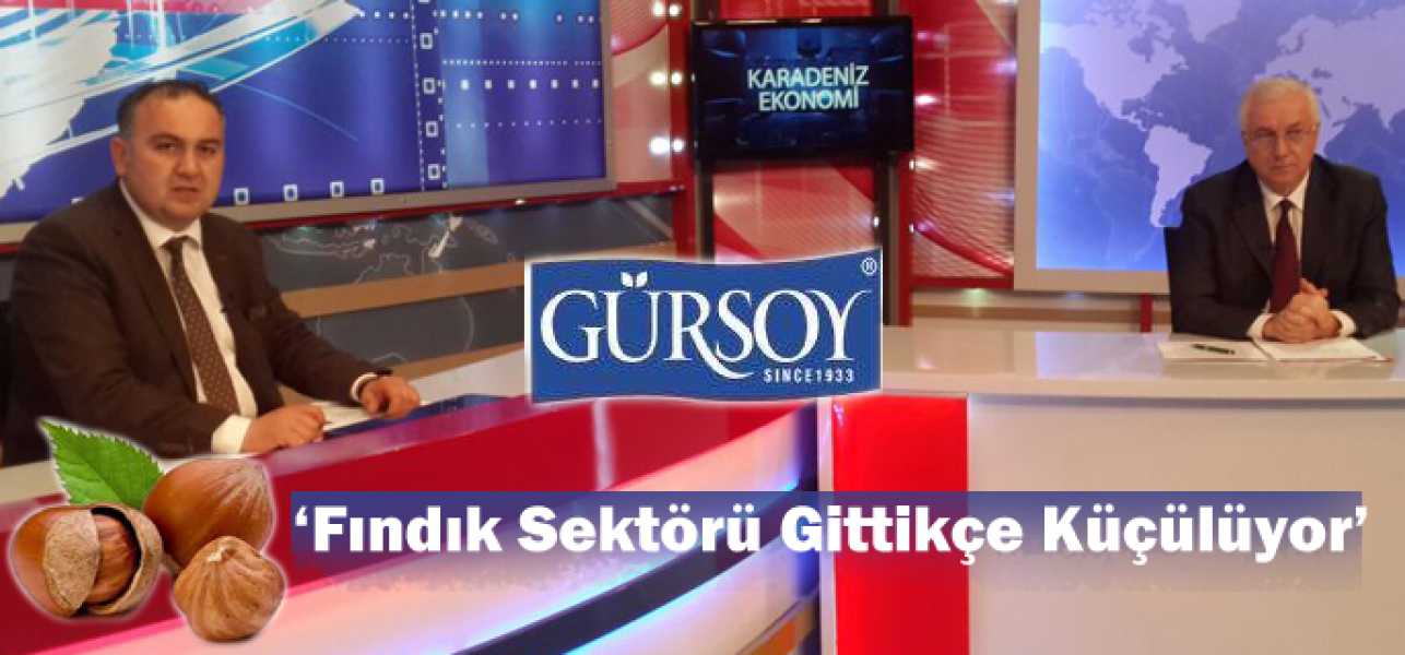 Fındık Sektörü Gittikçe Küçülüyor