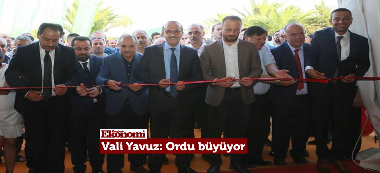 Vali Yavuz: 