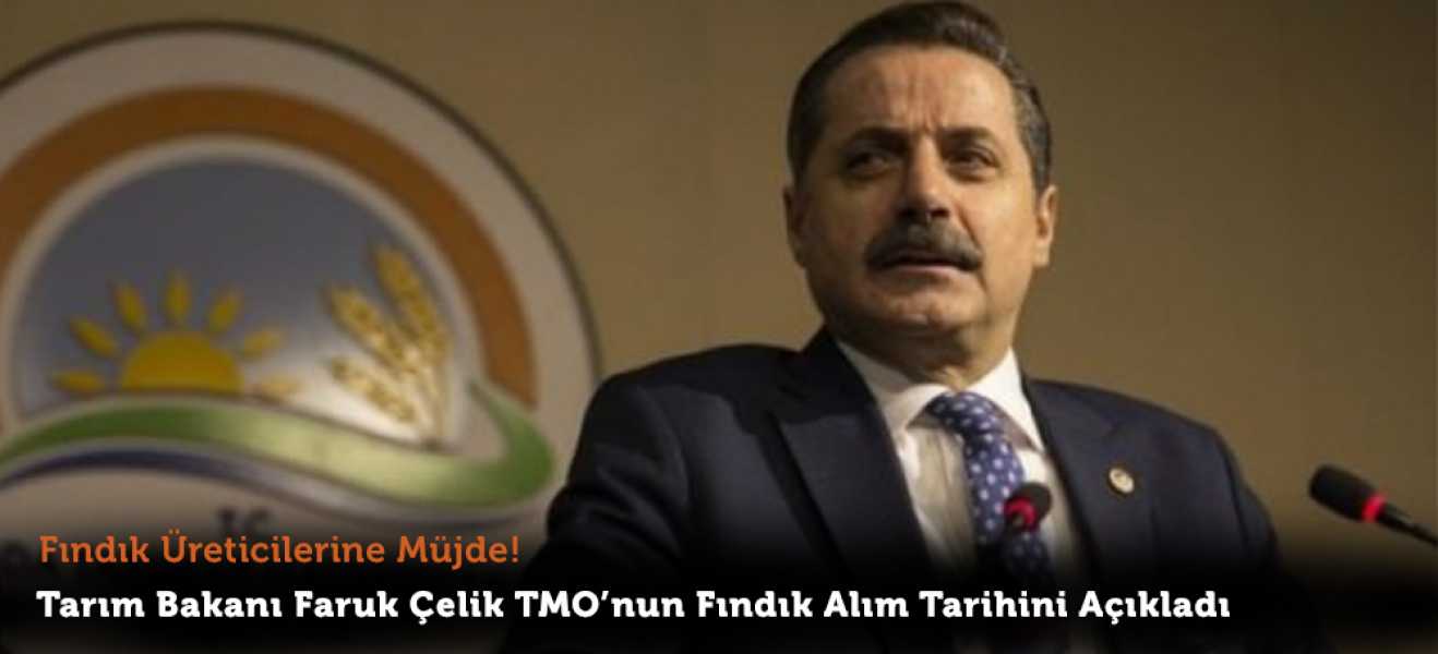 Tarım Bakanı Faruk Çelik TMOnun Fındık Alım Tarihini Açıkladı
