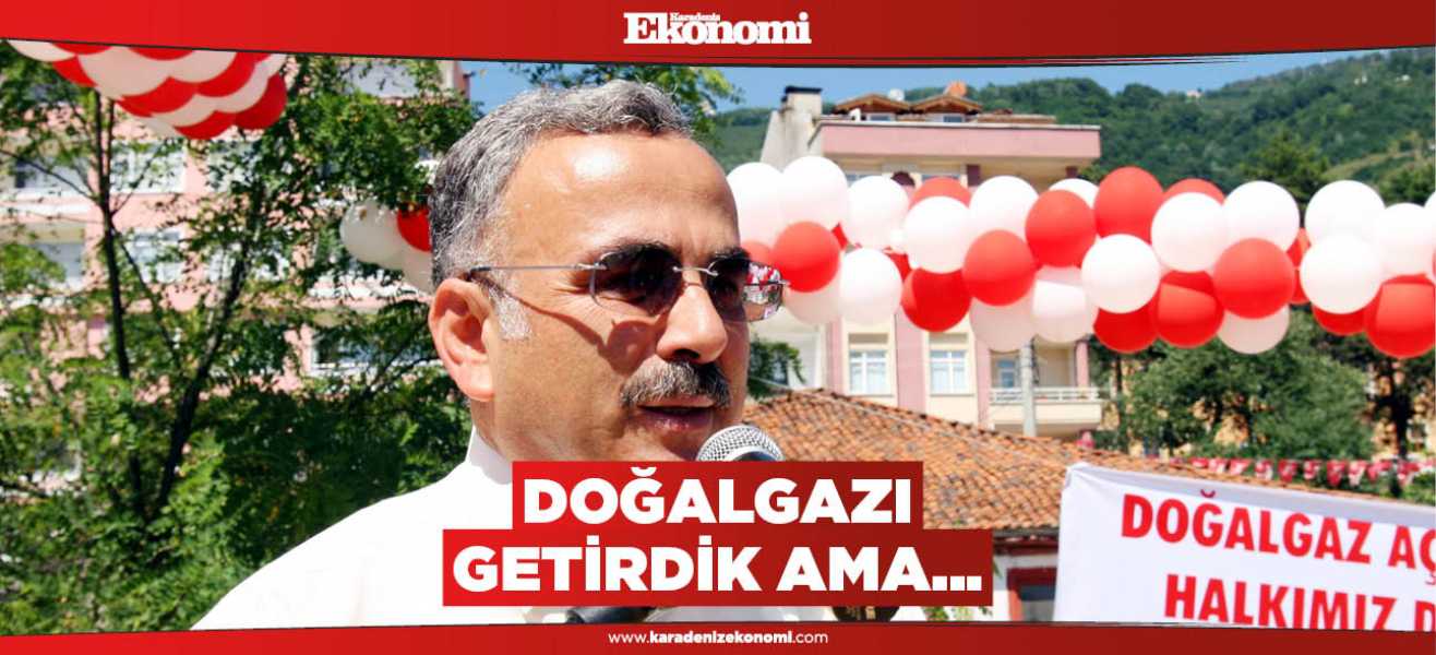 Doğalgazı getirdik ama...