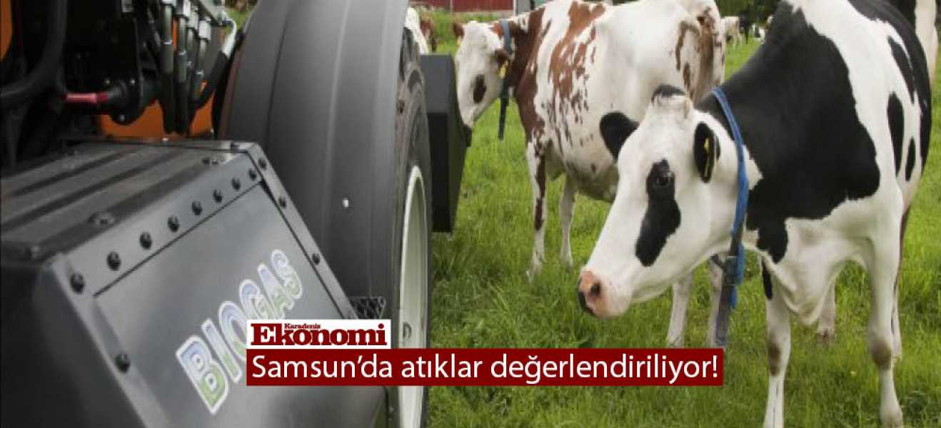 Samsun'da atıklar değerlendiriliyor!