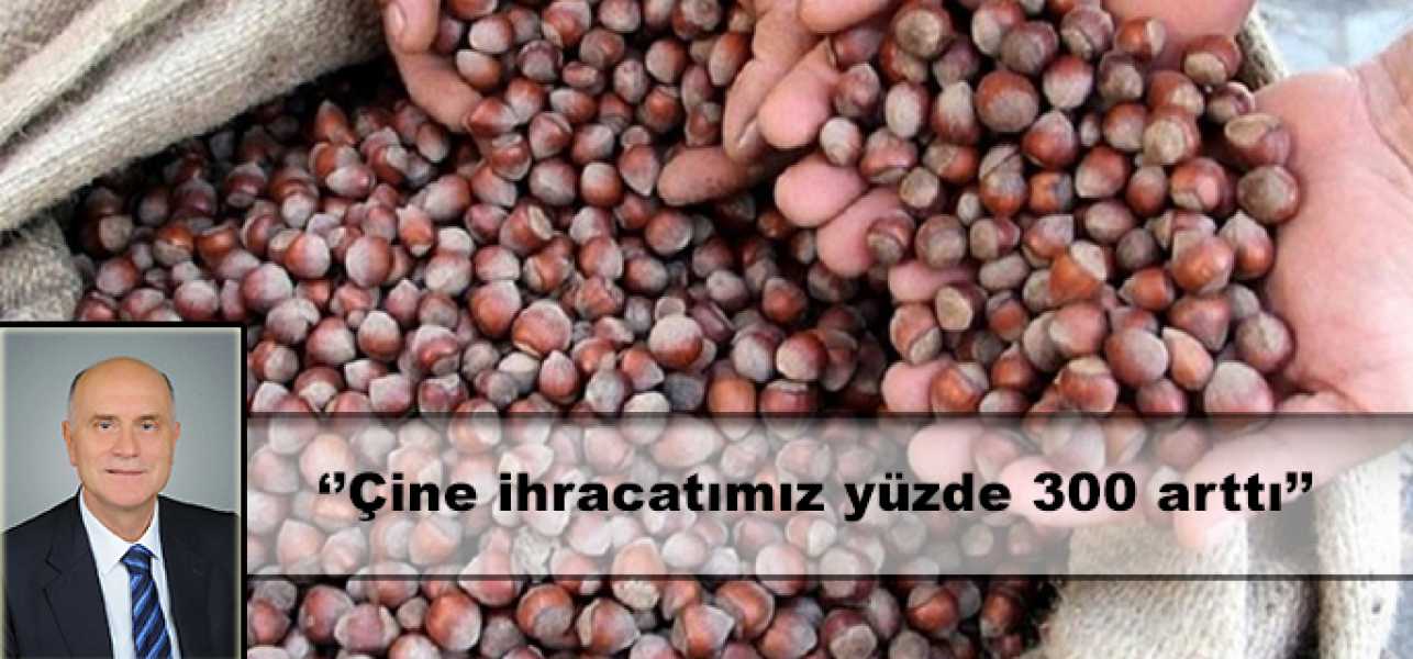 Çin'e fındık ihracatımız yüzde 300 arttı