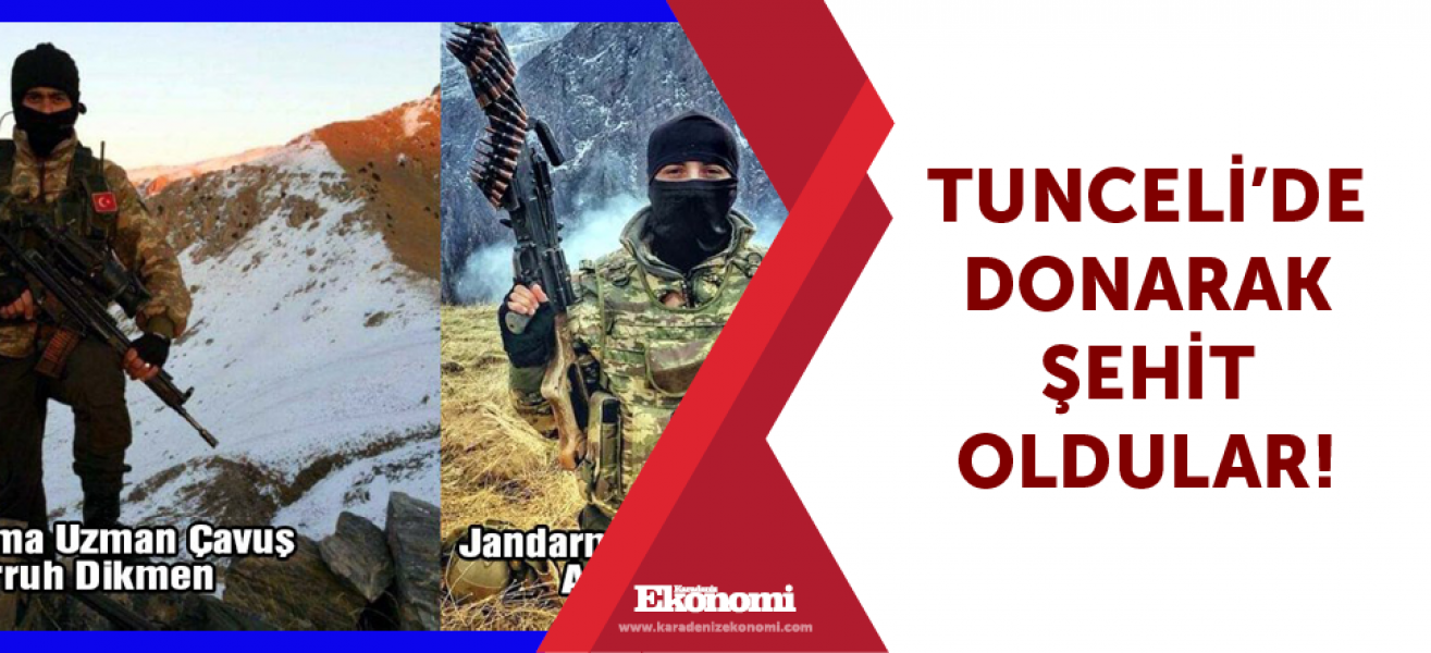 Tunceli'de donarak şehit oldular!